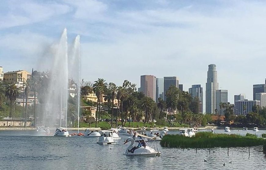 Swan Boat Rental in Echo Park