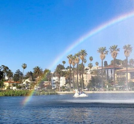 Swan Boat Rental in Echo Park